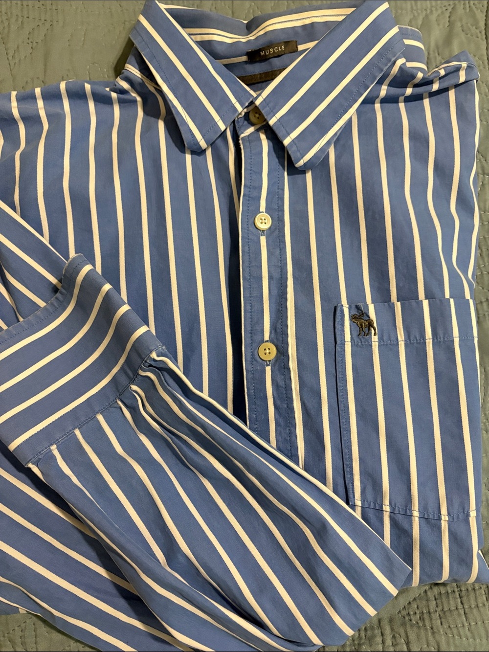 Abercrombie & Fitch Blue White Vertical Stripe Button-Down Shirt